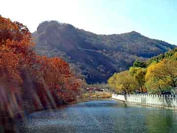 天天彩好彩天天免费，精灵岛